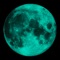 Icon Lunar Calendar - Moon Phase