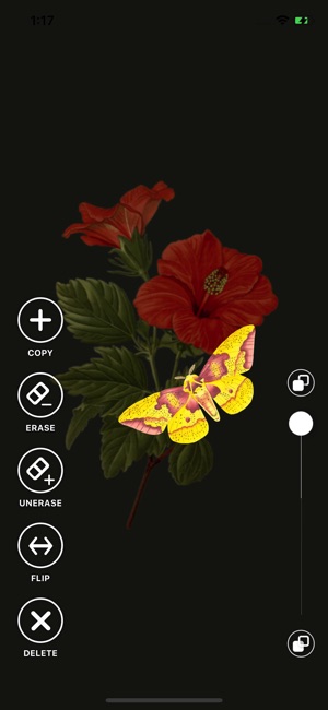 Hibiscus; Your nature collage(圖3)-速報App