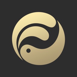 高人VIP — 算命大师在线亲测