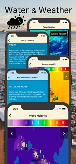 Game screenshot Hawaii Surf Reports hack