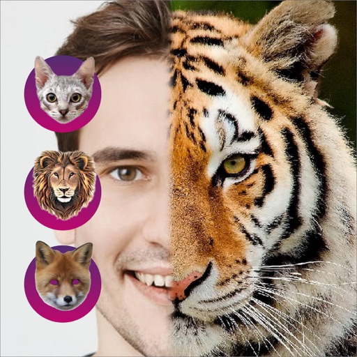 face switch with animals