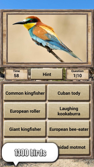Animal Kingdom - Quiz Game screenshot 3