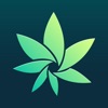 HiGrade: Cannabis Testing