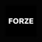 FORZE is a transportation app designed to offer affordable and reliable rides