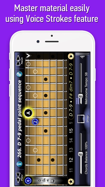 Economy Picking Guitar School