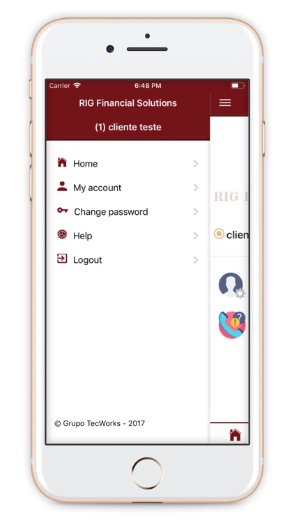 RIG Financial Solutions