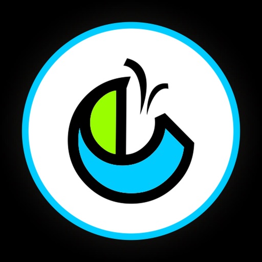 gfeev1 by Innovative Graphics Private Limited