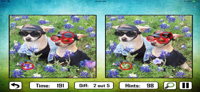 Animal Find The Difference(圖5)-速報App