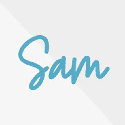 Sam the storytelling bear Читы