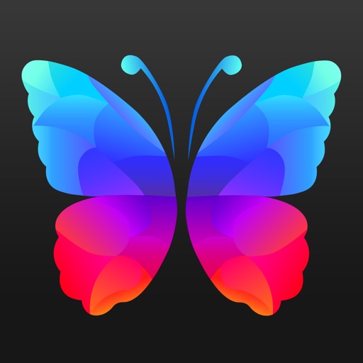 Everpix - Обои для iOS 8