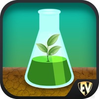 Botany & Plants Dictionary