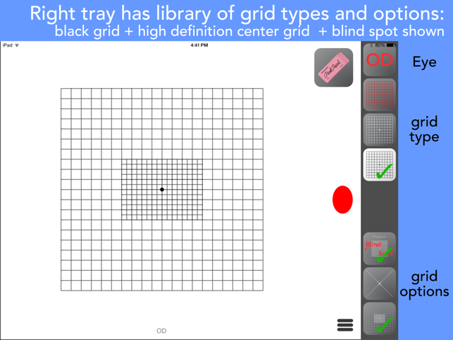 Amsler Chart Types