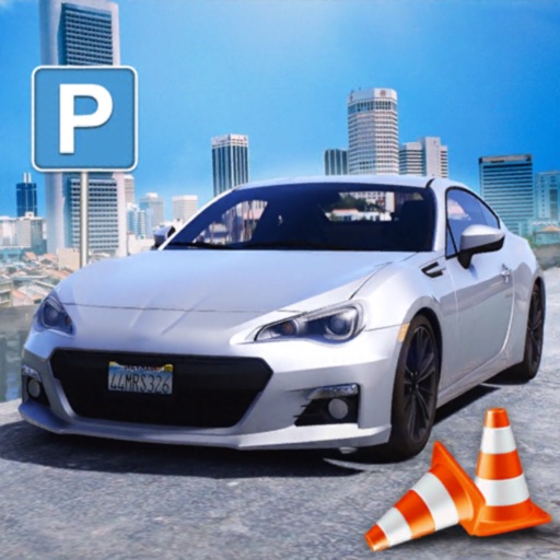 parking game in driving school Icon