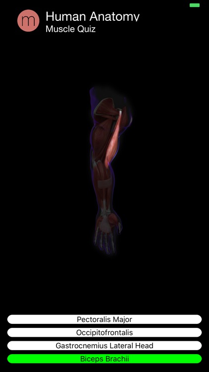 Muscle Quiz screenshot-9