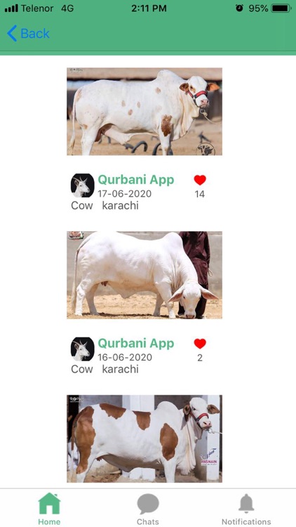 Qurbani App