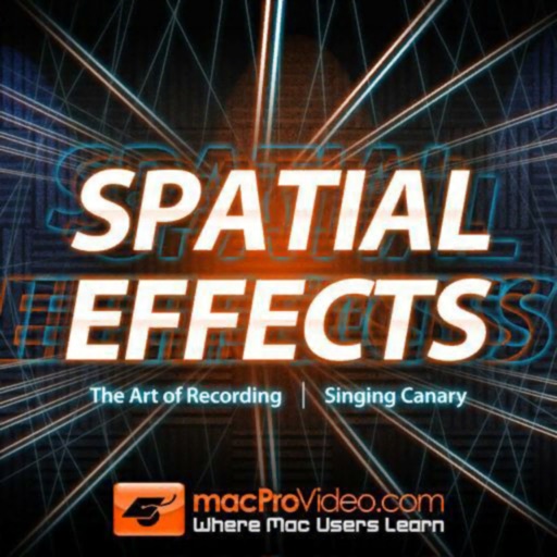 Spatial Effects Recording