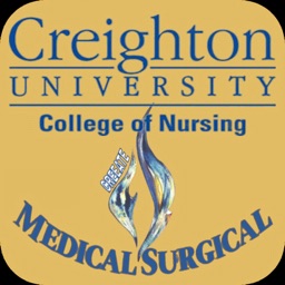 CU Nursing MS