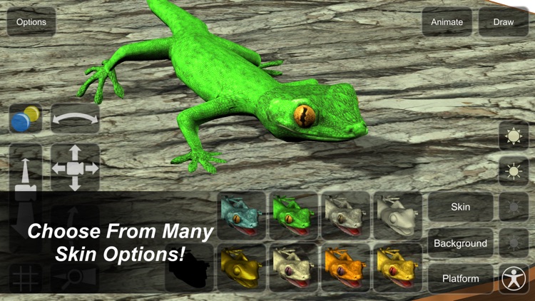 Gecko Mannequin screenshot-4