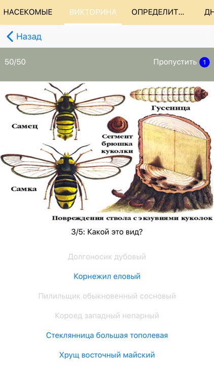Экогид - Насекомые-вредители screenshot-6