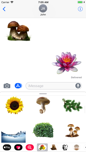 Nature Stickers Pack