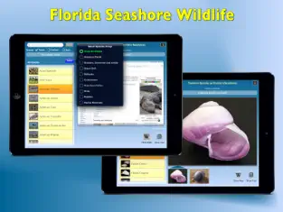 Captura de Pantalla 3 Florida Seashore Wildlife iphone