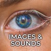 Images and Sounds