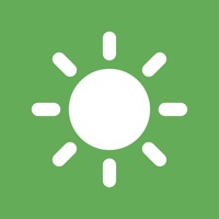 Physical Therapy: ACL & Knee