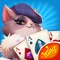 Play the traditional card game rummy with a multiplayer twist for mobile