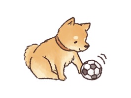 A Cute Shiba Inu Stickers