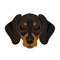 Dachshund Emoji Keyboard is waiting for you