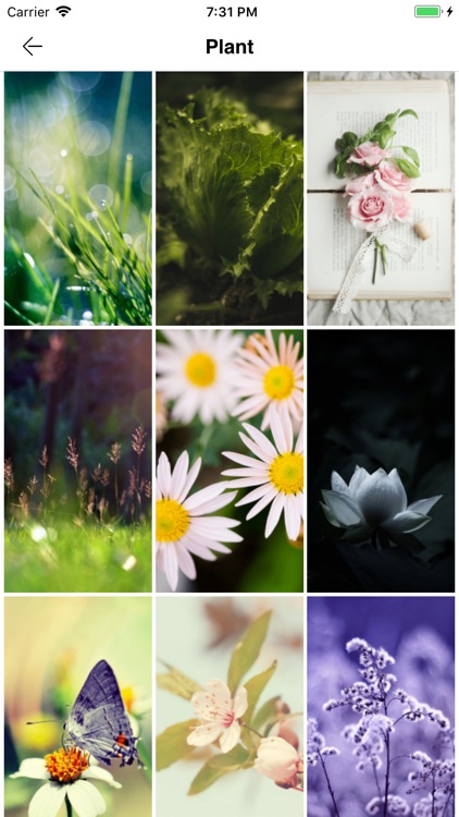 Wallpaper Styles screenshot-3