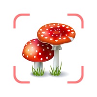 Mushroom Fungus Identifier AI app not working? crashes or has problems?