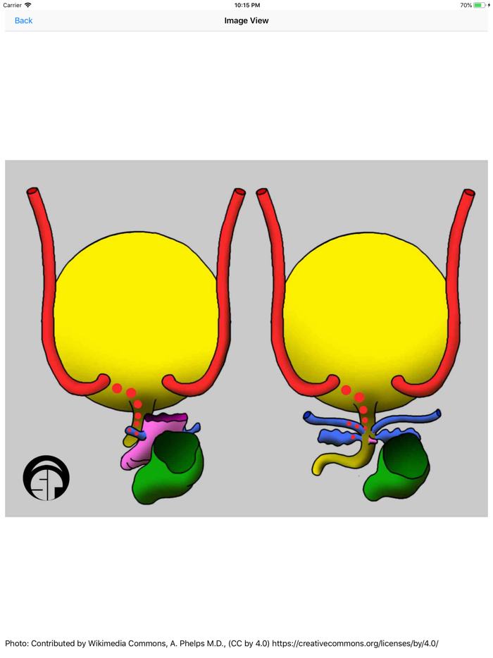 Nursing Student Reviews