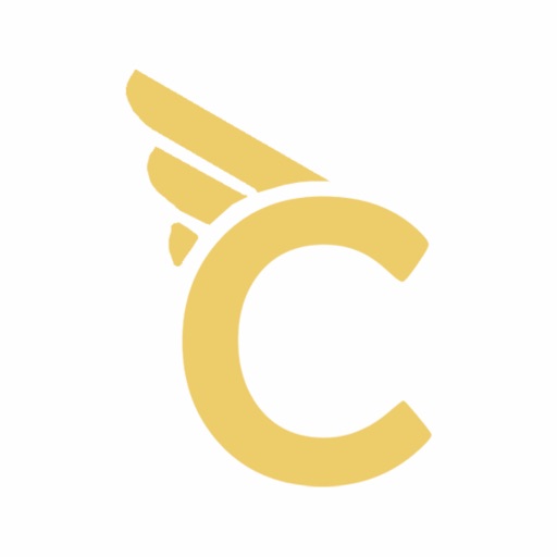 Contabilize Inteligência