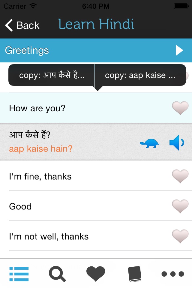 Learn Hindi - Phrasebook screenshot 2