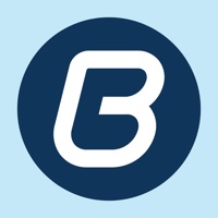 Billingo - Online számlázó на пк