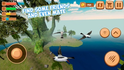 Swallow Bird Simulator 3D screenshot 2