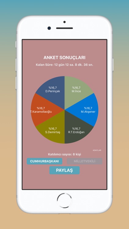 Anketum screenshot-3