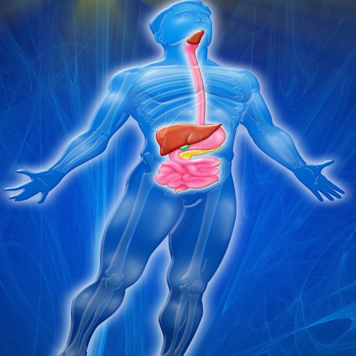 Digestive System Trivia Icon