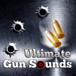 UGS - Ultimate Gun Sounds FX
