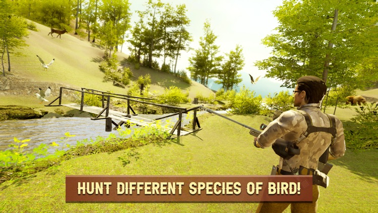 Classic Bird Hunt 2021