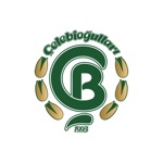 Çelebi Oğulları