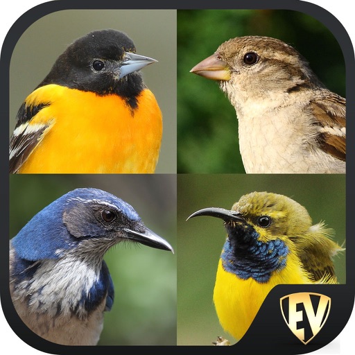 Perching Bird Dictionary icon