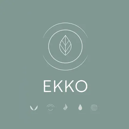 Ekko Health & Beauty Cheats
