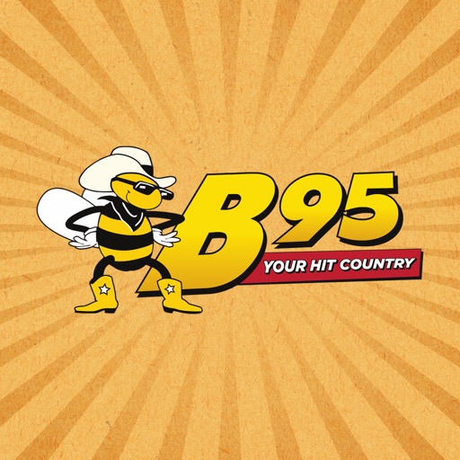 B95 icon