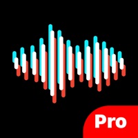 SpeechTok Pro app funktioniert nicht? Probleme und Störung