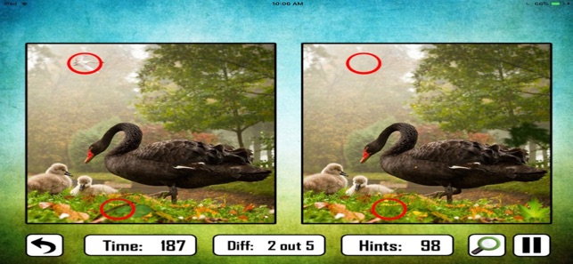 Animal Find The Difference(圖1)-速報App