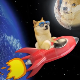 Dogecoin To Moon