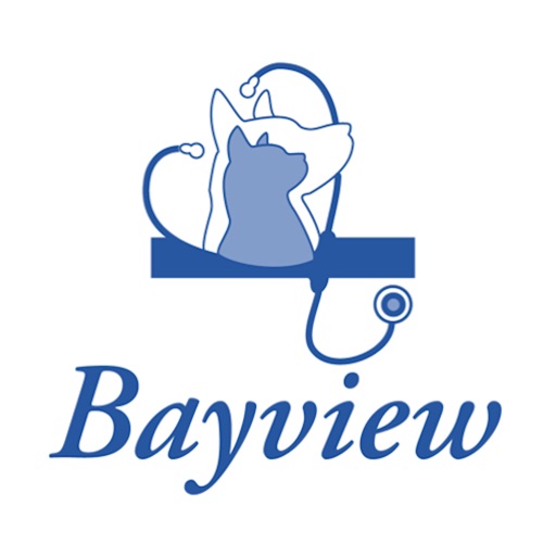 Bayview Vet Download