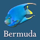 Bermuda Reef Life HD